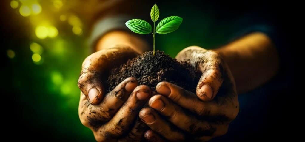 Financial Freedom Sage